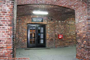 IMG_ (11854)